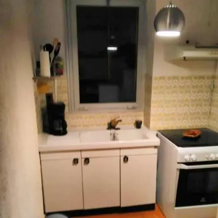 Douillet Avec Vue Sur La Montagne A Les Bains 35 M² Apartment Amelie-les-Bains-Palalda